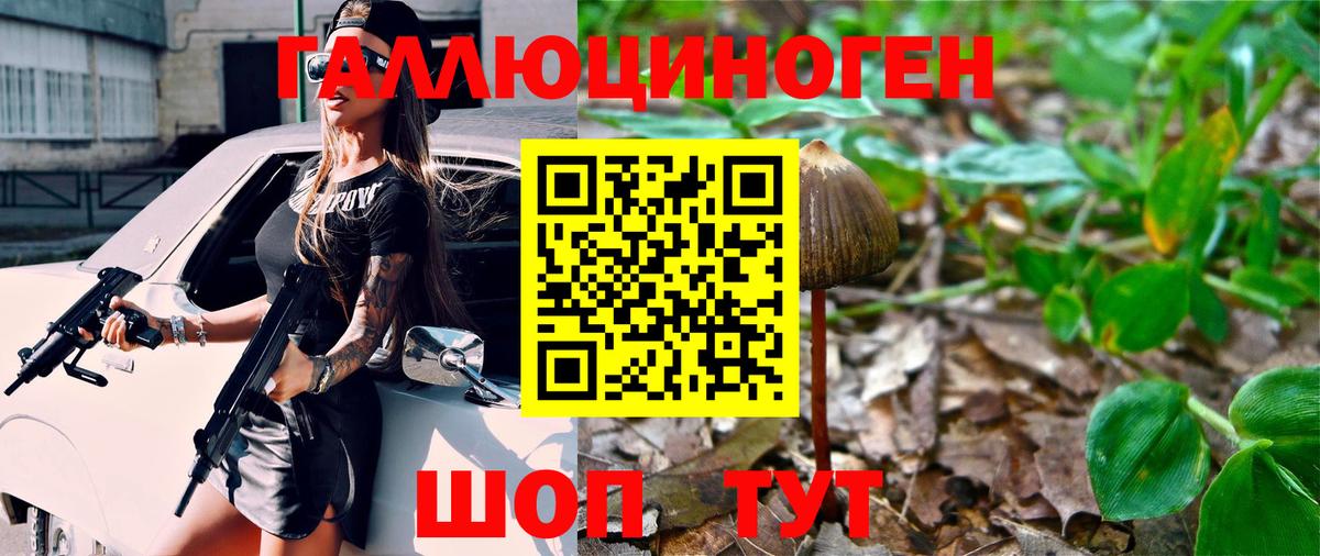Ульяновск  Галлюциногенные грибы MAGIC MUSHROOMS  Вход с VPN  Галлюциногенные грибы ЛСД 